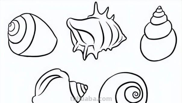 20种海洋生物的手绘线稿图谱