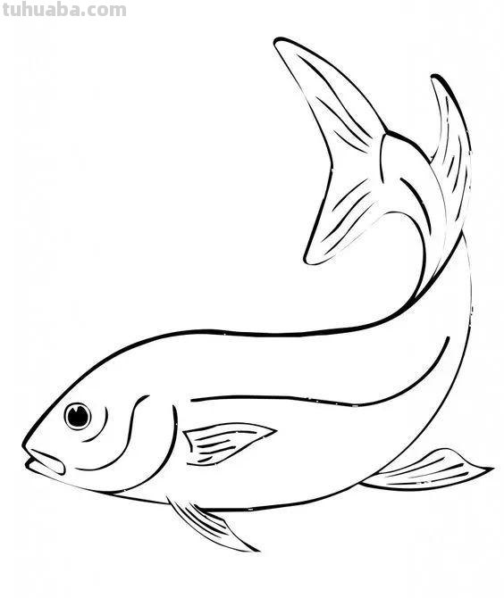 20种海洋生物的手绘线稿图谱