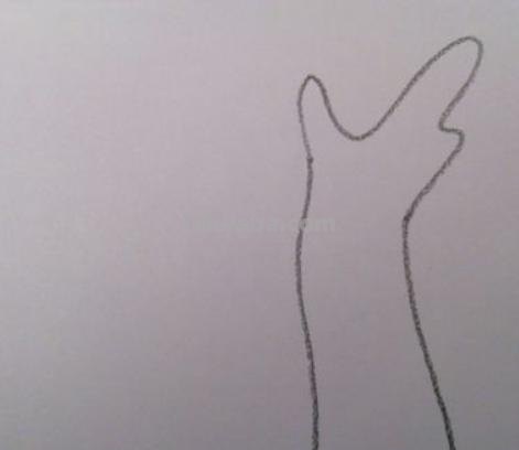 简笔画垂柳怎么画（简笔画垂柳怎么画诗手抄报）