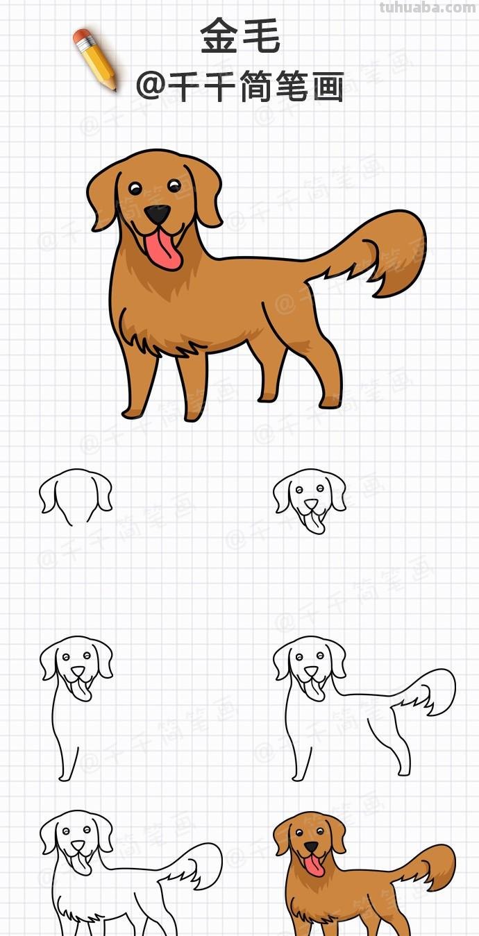 10种狗狗简笔画教程，总有一款是你喜欢的，值得收藏！