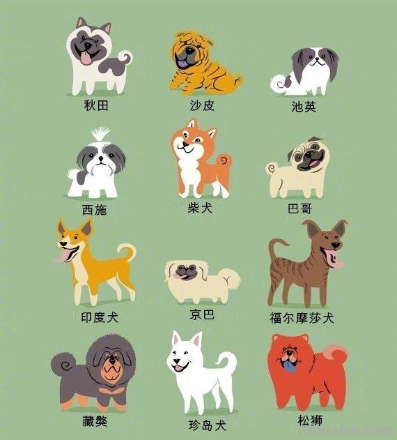 192只世界名犬简笔画图鉴-​​​​插画师：Lili Chin ​