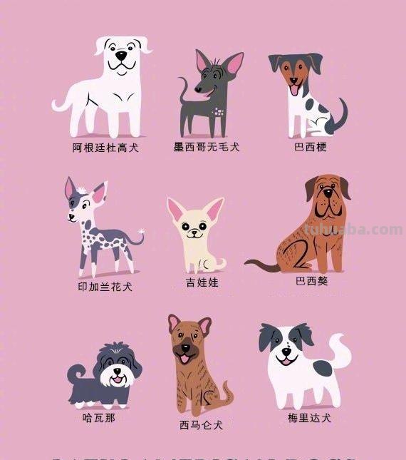 192只世界名犬简笔画图鉴-​​​​插画师：Lili Chin ​