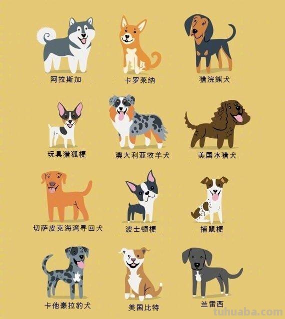 192只世界名犬简笔画图鉴-​​​​插画师：Lili Chin ​