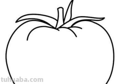 番茄怎么画简笔画（番茄怎么画简笔画 儿童画）