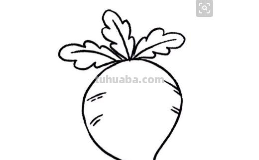 番茄怎么画简笔画（番茄怎么画简笔画 儿童画）