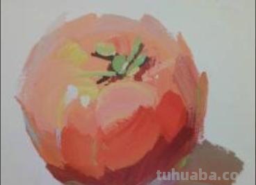番茄怎么画简笔画（番茄怎么画简笔画 儿童画）