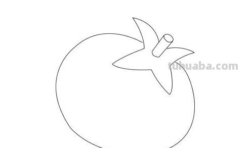 番茄怎么画简笔画（番茄怎么画简笔画 儿童画）