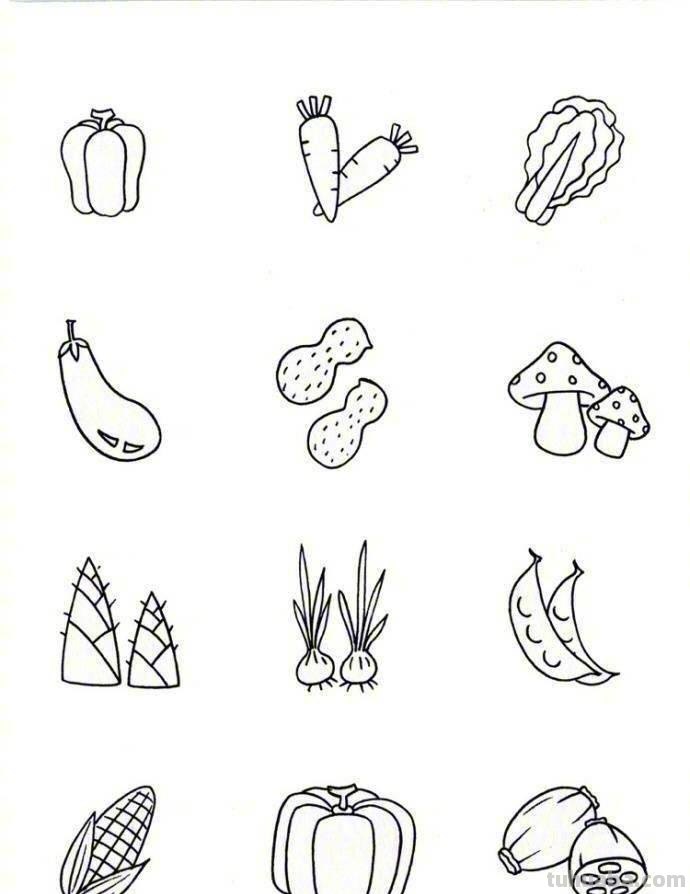 一大波儿简单实用的食物简笔画，收藏练习