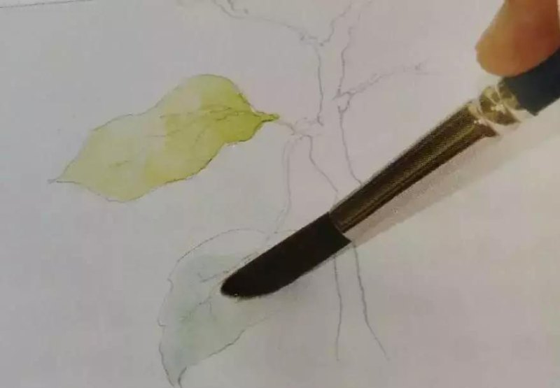 水彩画技法有哪些？5分钟学会一幅画吧