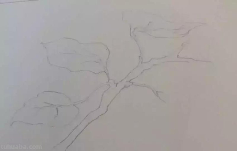 水彩画技法有哪些？5分钟学会一幅画吧
