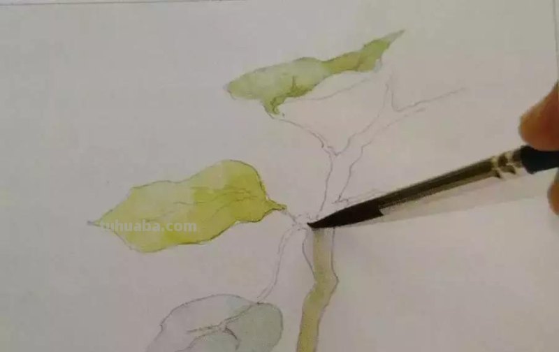 水彩画技法有哪些？5分钟学会一幅画吧