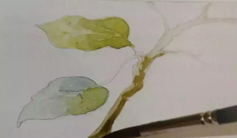水彩画技法有哪些？5分钟学会一幅画吧