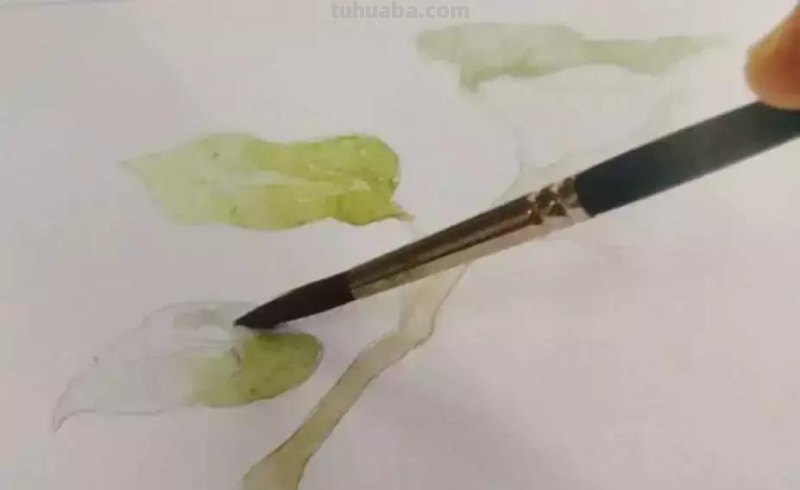 水彩画技法有哪些？5分钟学会一幅画吧