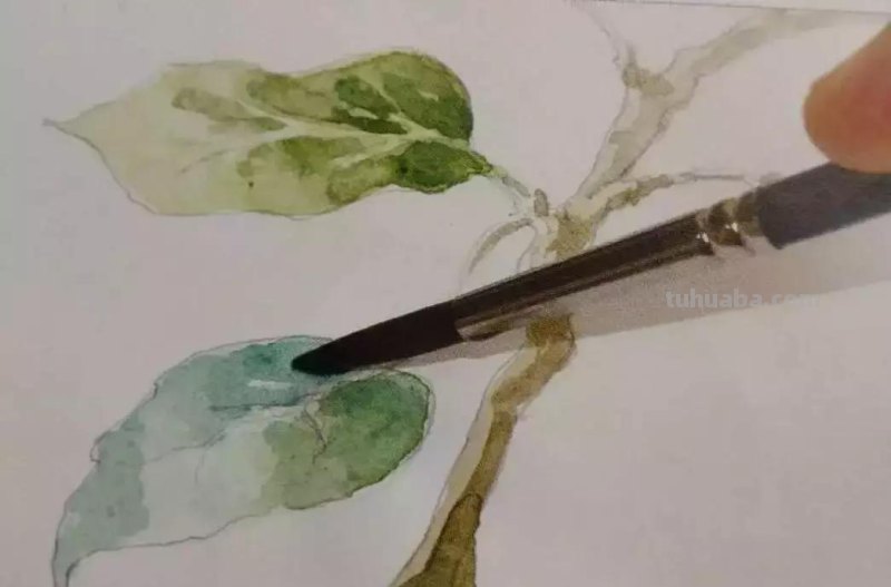 水彩画技法有哪些？5分钟学会一幅画吧
