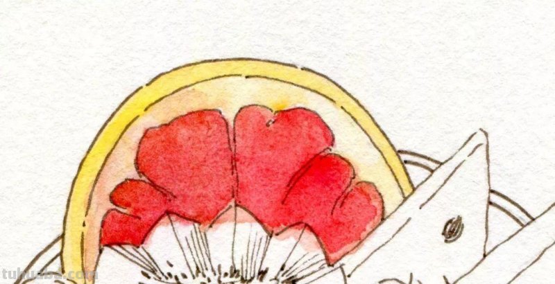 零基础也能画水彩，教你画一幅水果图