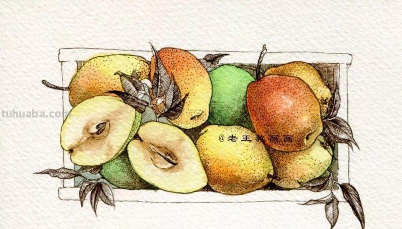 水彩不会调色怎么办?画一框梨教你调色 水彩不会调色怎么办?画一框梨教你调色