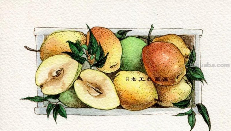 水彩不会调色怎么办?画一框梨教你调色 水彩不会调色怎么办?画一框梨教你调色