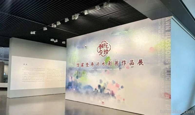 查寿兴：我用水彩工具，来展示我的审美情趣、表现客观世界