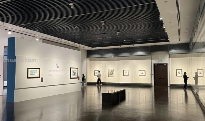 查寿兴：我用水彩工具，来展示我的审美情趣、表现客观世界