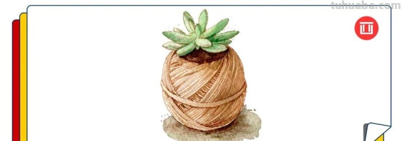 水彩很有趣，教你画水彩多肉