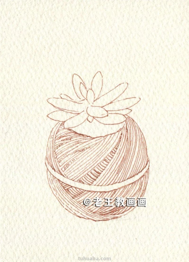 水彩很有趣，教你画水彩多肉