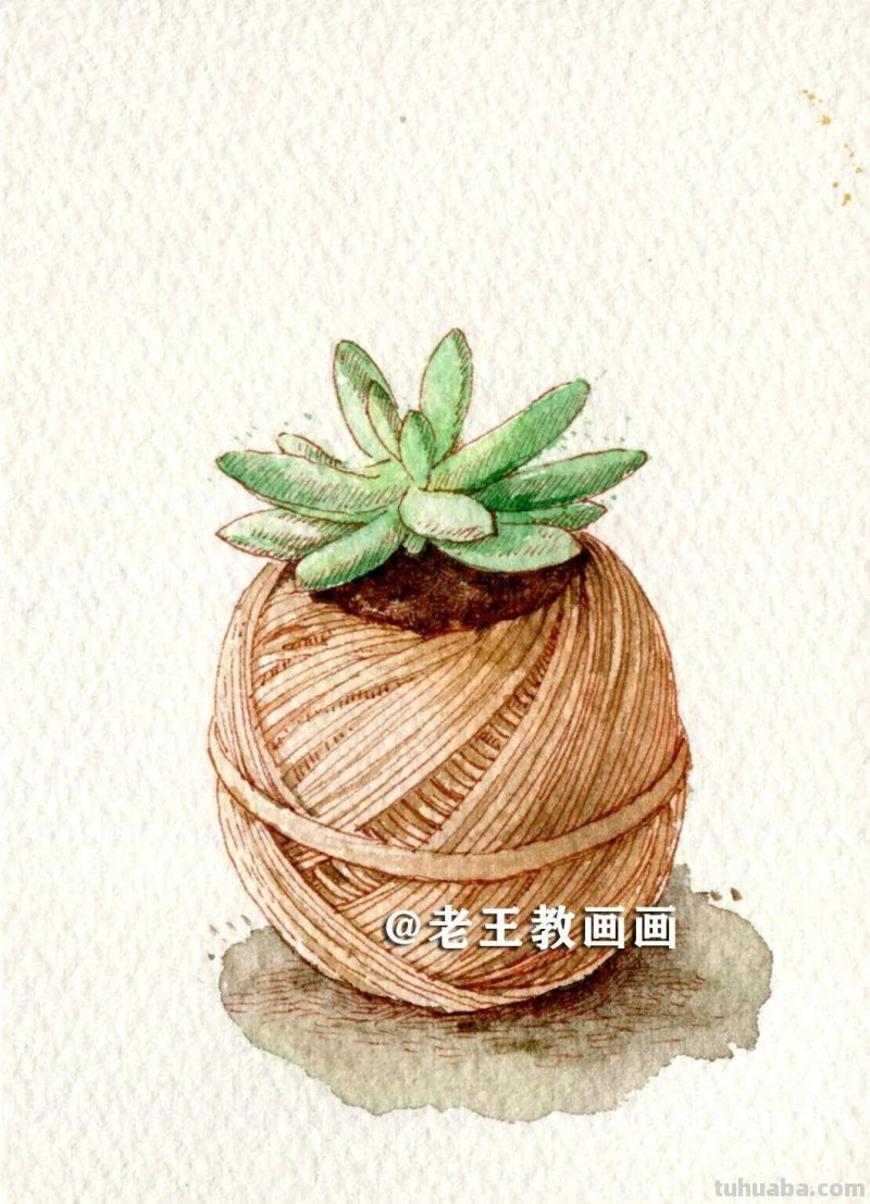 水彩很有趣，教你画水彩多肉
