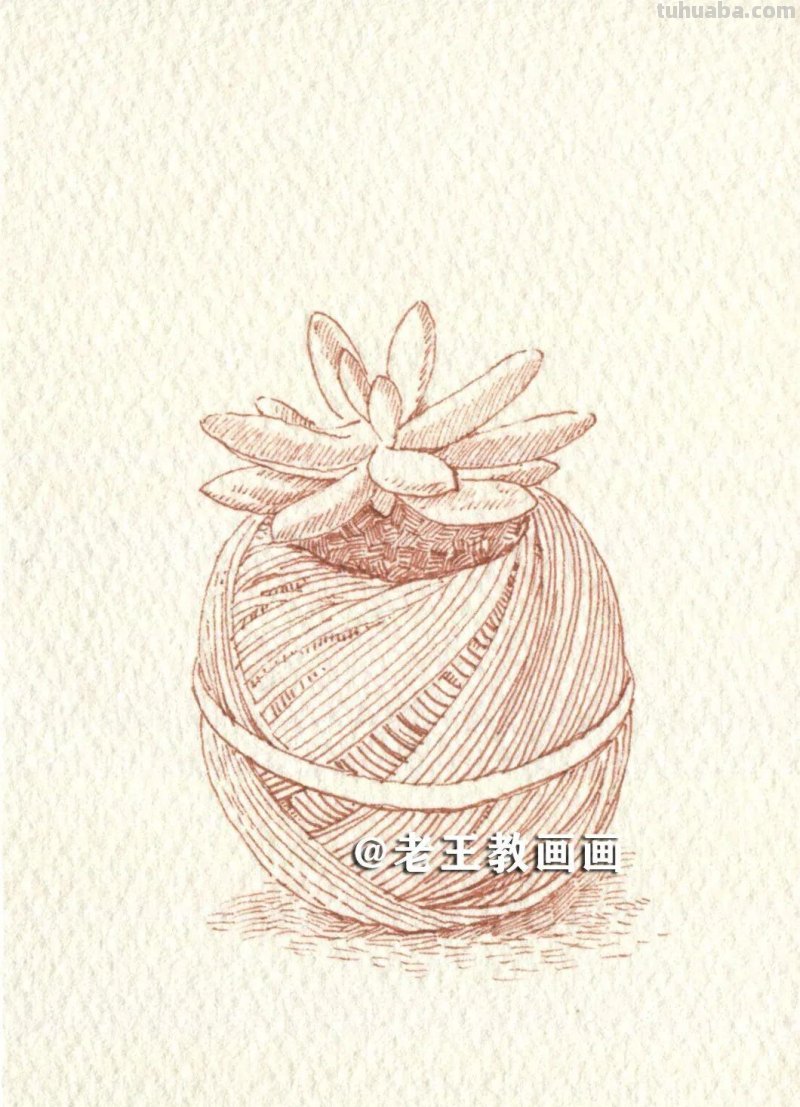 水彩很有趣，教你画水彩多肉