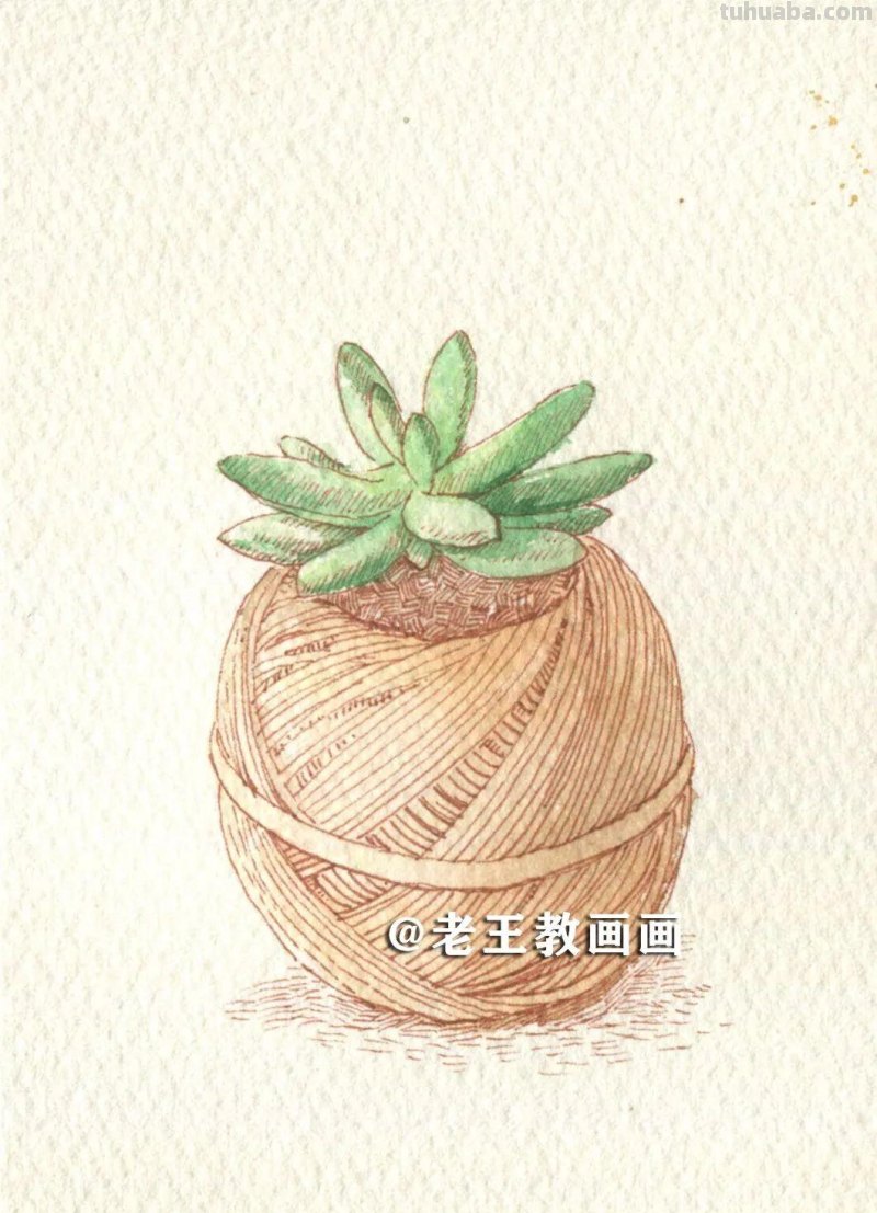 水彩很有趣，教你画水彩多肉