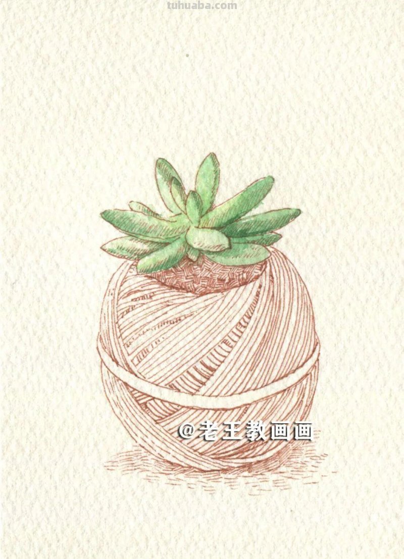 水彩很有趣，教你画水彩多肉