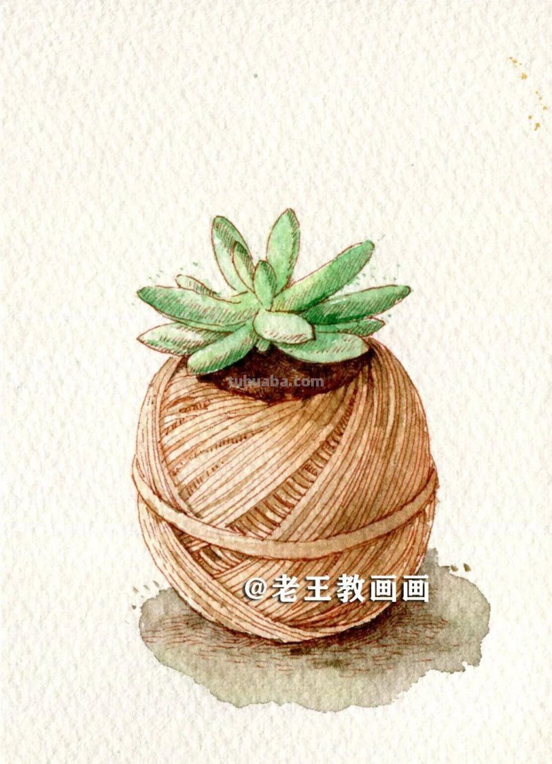 水彩很有趣，教你画水彩多肉