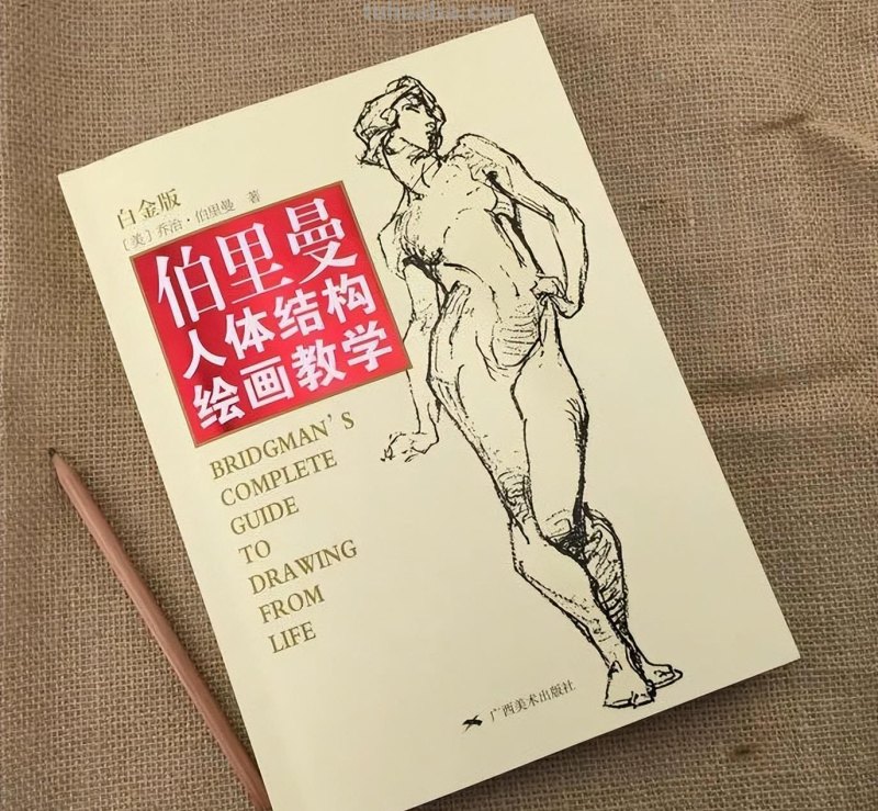 不容错过的美术生《精选书单》，让你迅速成为“艺考硬核玩家”