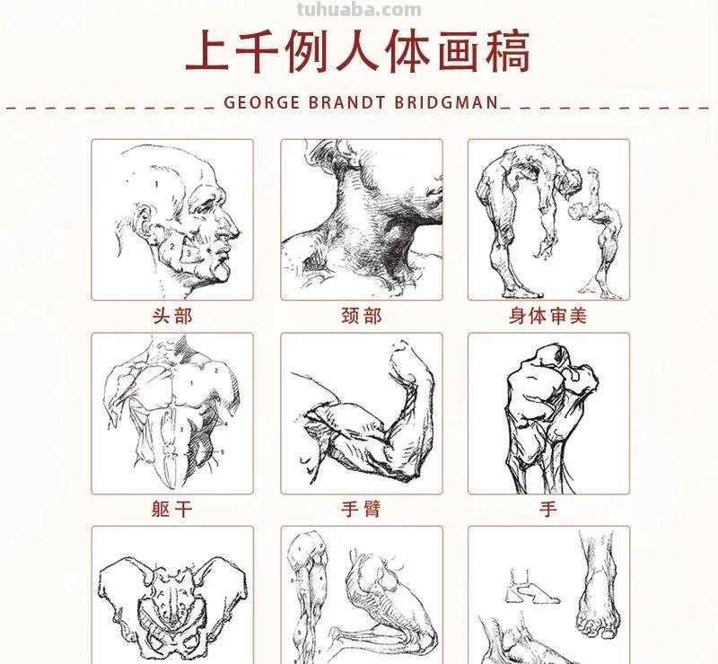 不容错过的美术生《精选书单》，让你迅速成为“艺考硬核玩家”