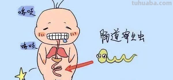 宝宝肚子有蛔虫的症状 宝宝肚子有蛔虫的症状有哪些