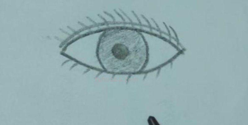 蚕豆怎么画简笔画（蚕豆怎么画简笔画 种子）