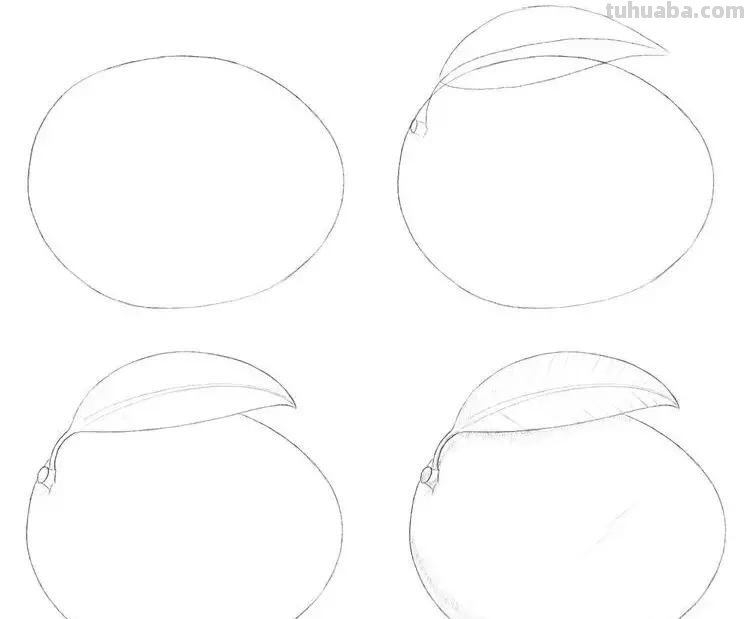素描小教程9例，零基础小白跟着学画
