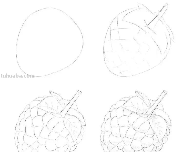 素描小教程9例，零基础小白跟着学画