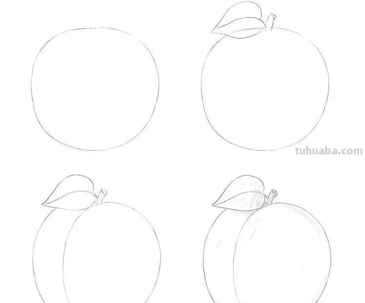 素描小教程9例，零基础小白跟着学画
