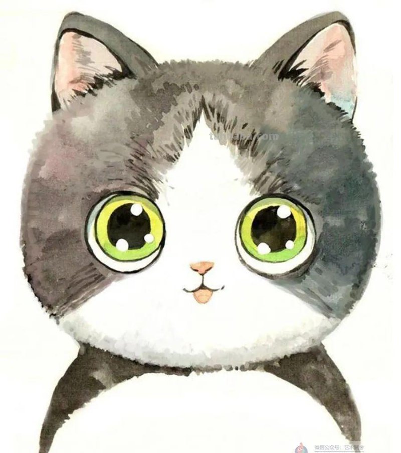 水彩画 - 一组超可爱的动物形象，来画一画吧