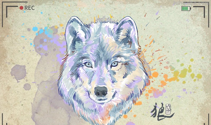 创意插画-动物水彩明信片