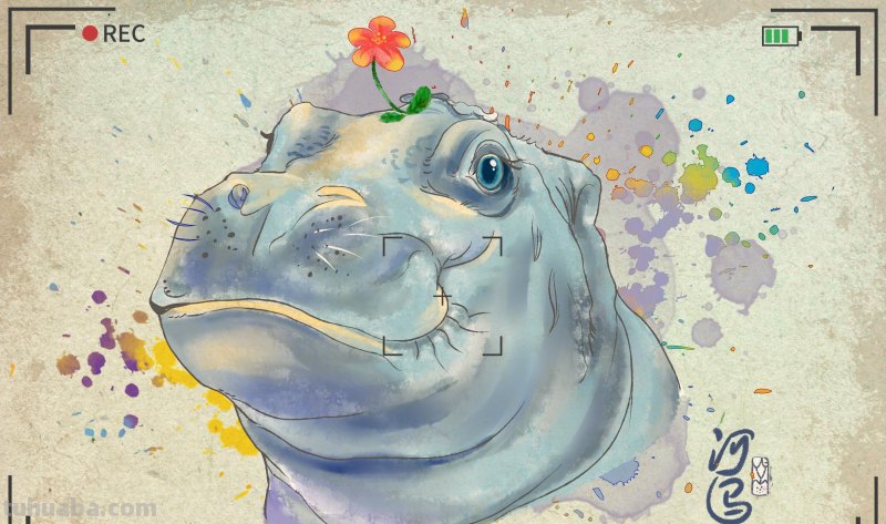 创意插画-动物水彩明信片