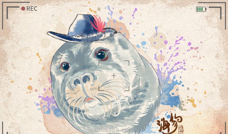 创意插画-动物水彩明信片
