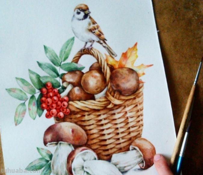 可爱的小动物，可爱的水彩插画~ins:miakishewaliza ​ ​