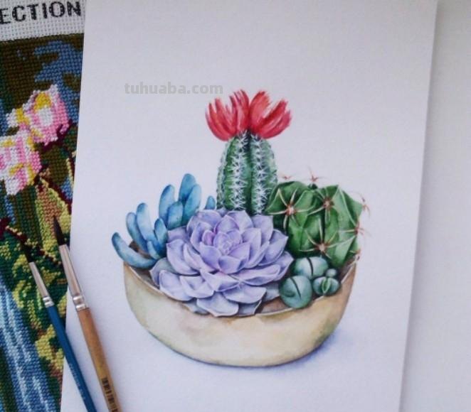 可爱的小动物，可爱的水彩插画~ins:miakishewaliza ​ ​