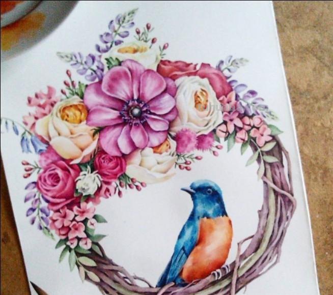 可爱的小动物，可爱的水彩插画~ins:miakishewaliza ​ ​