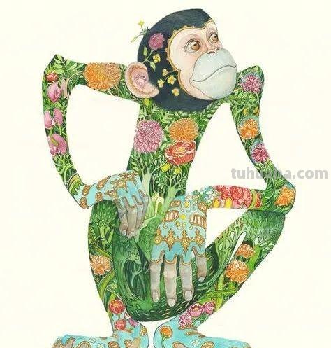 儿童画素材｜动物主题水彩插画，这样的细节太赞了