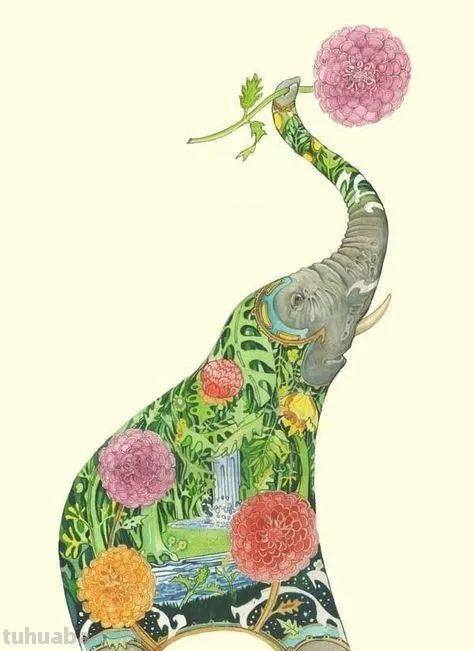 儿童画素材｜动物主题水彩插画，这样的细节太赞了
