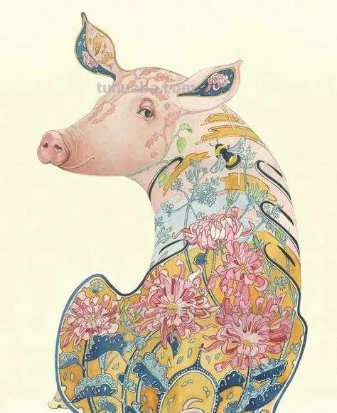 儿童画素材｜动物主题水彩插画，这样的细节太赞了