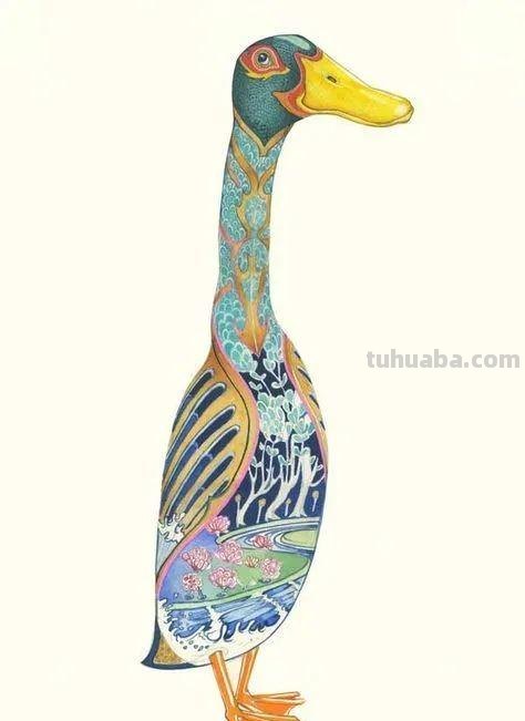 儿童画素材｜动物主题水彩插画，这样的细节太赞了