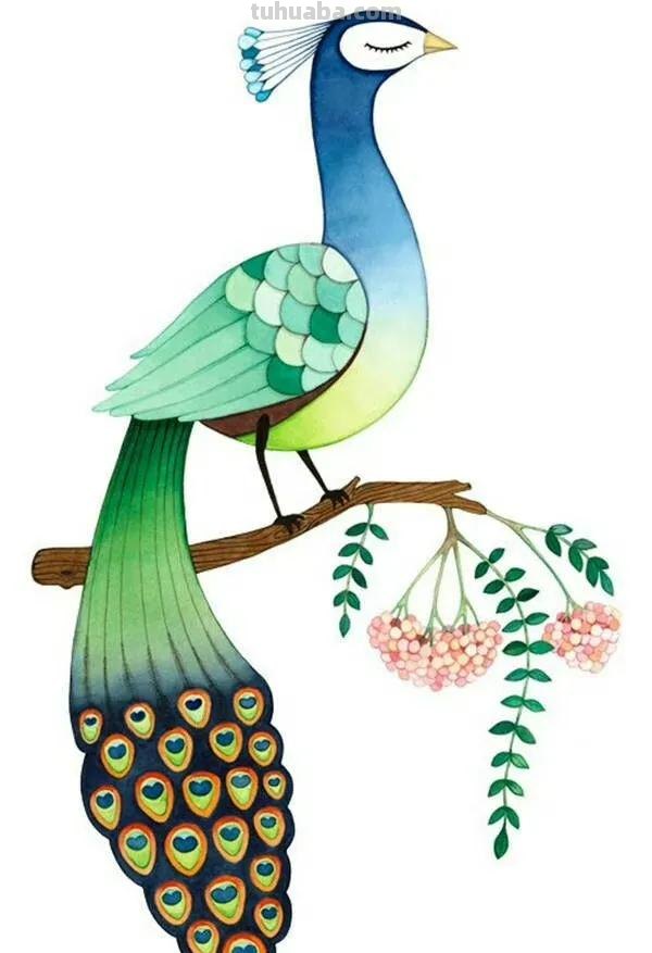 加拿大艺术家Afsaneh Tajvidi笔下的水彩小动物，画风清新