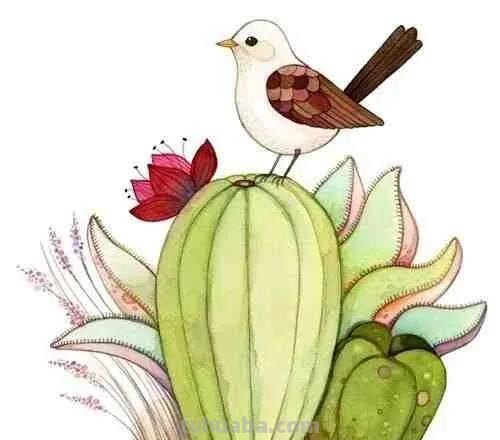 加拿大艺术家Afsaneh Tajvidi笔下的水彩小动物，画风清新